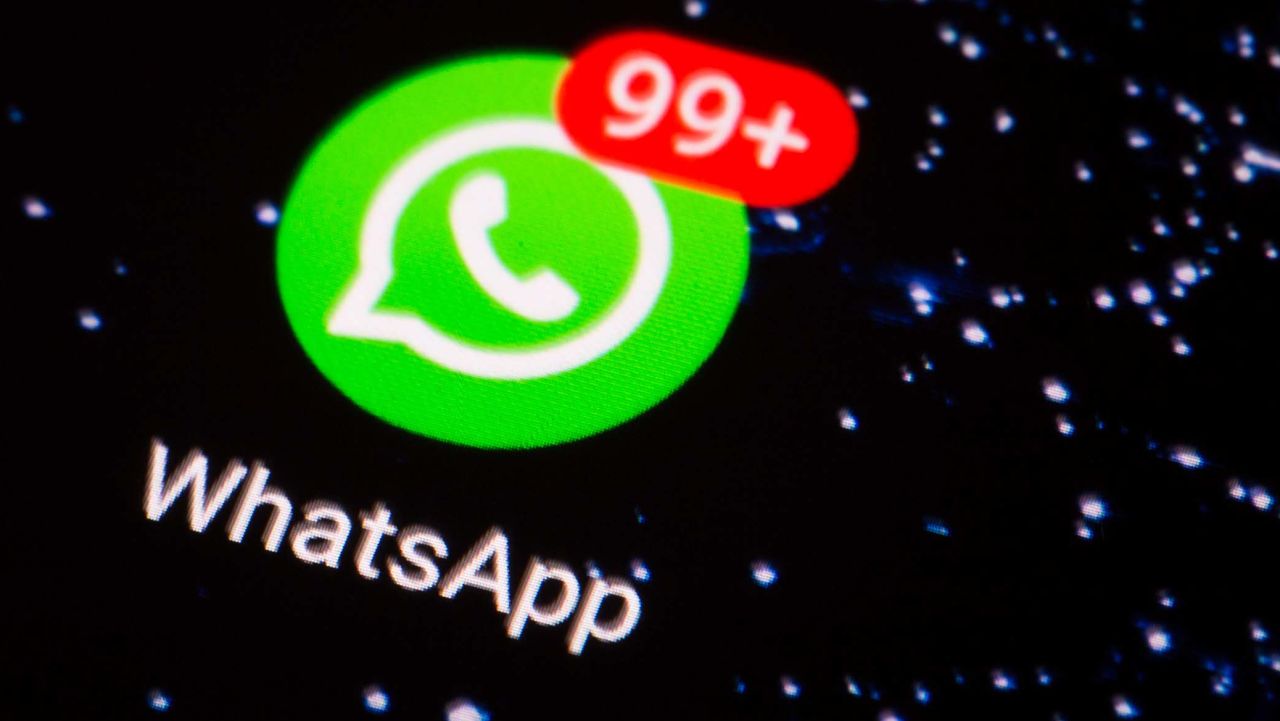 French WhatsApp number screening platform